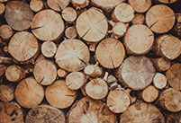 CentriFlow Mass Flow Meter Applications in the Wood and Paper Industry